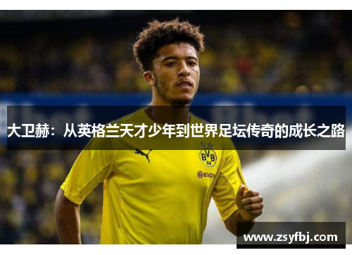 大卫赫：从英格兰天才少年到世界足坛传奇的成长之路