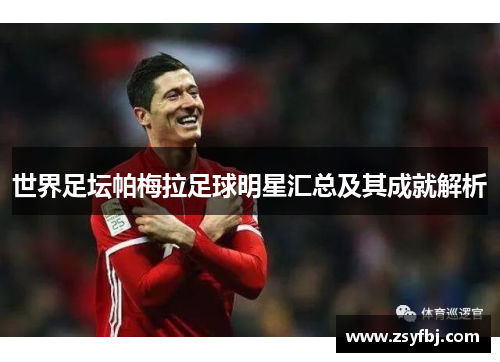 世界足坛帕梅拉足球明星汇总及其成就解析