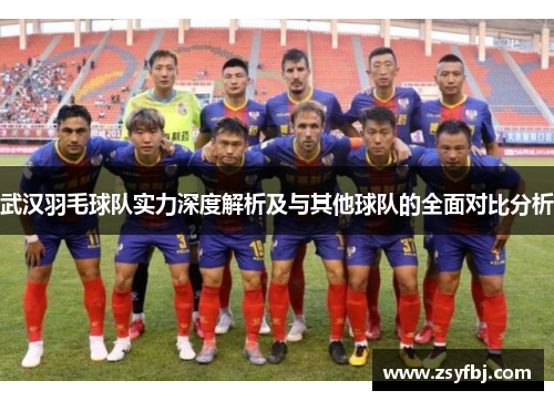 武汉羽毛球队实力深度解析及与其他球队的全面对比分析