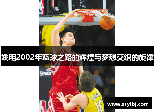 姚明2002年篮球之路的辉煌与梦想交织的旋律