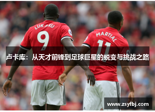 卢卡库：从天才前锋到足球巨星的蜕变与挑战之路
