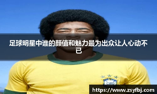 星空·综合体育官方网站